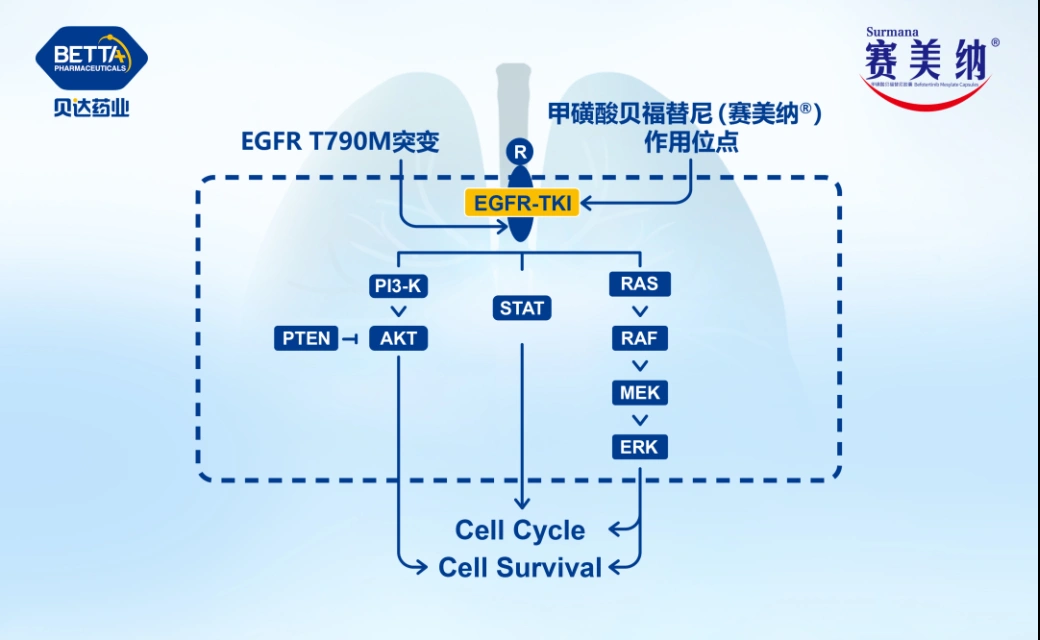 微信图片_20230130140101.bmp