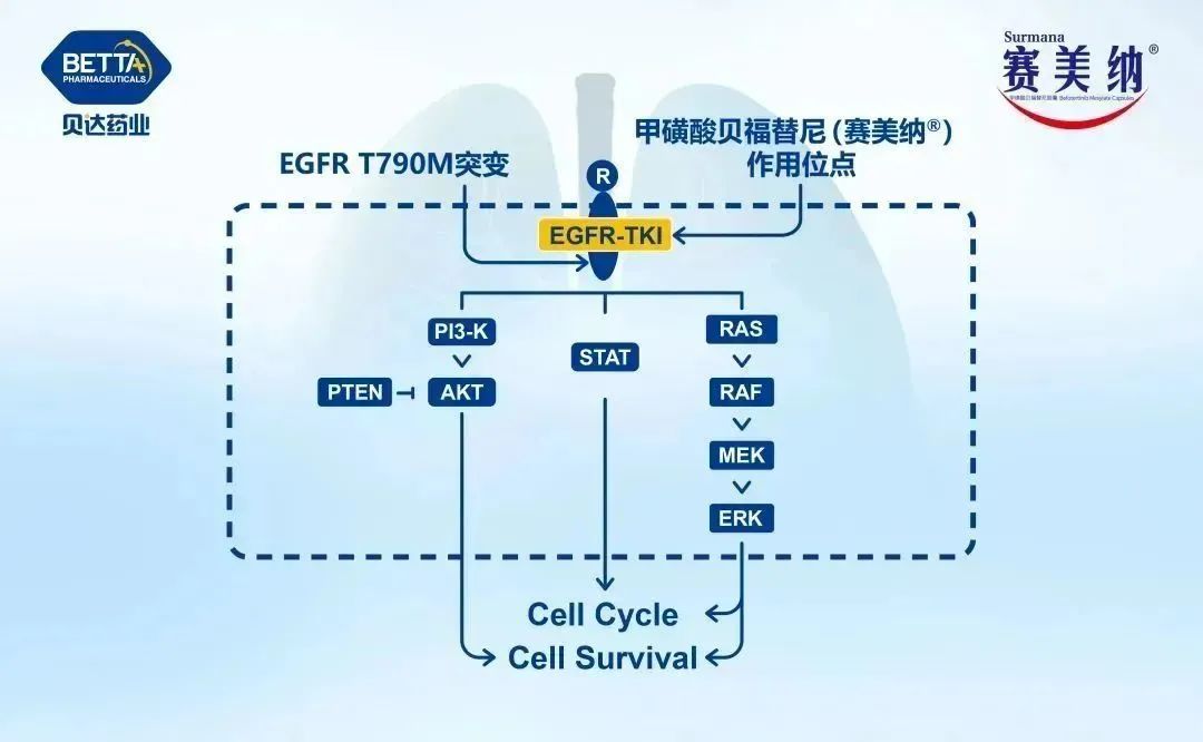 微信图片_20230201091308.jpg