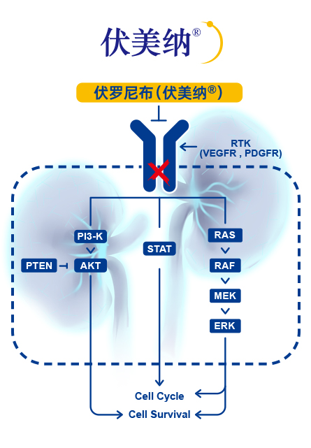 伏美纳-2.jpg